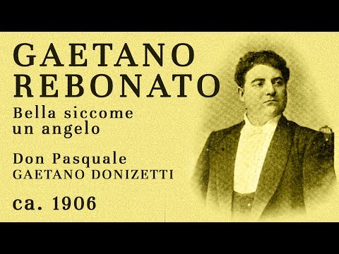 Gaetano Rebonato - Don Pasquale: Bella siccome un angelo - ca. 1906