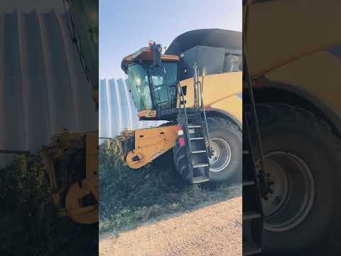 I’m a big kid now #combine #farming #tiktok #memes