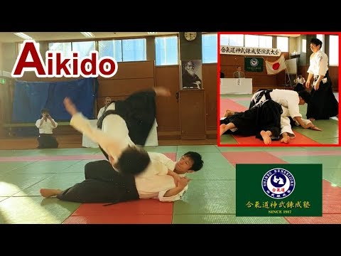 Amazing!  Shirakawa Ryuji shihan - Latest Aikido demonstration 2019
