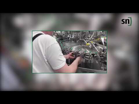 SN FBM 300H USDA/3A Triplex HFFS Machine