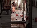 #panghalfitness
