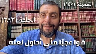 صورة (283) كرسي المتنبي -  فَوَا عَجَبًا مِنِّي أُحَاوِلُ نَعْتَهُ - حلقة