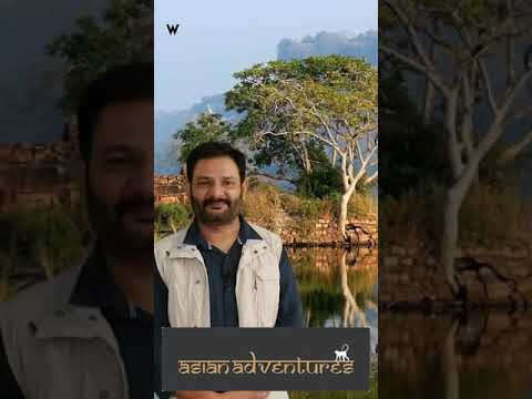 Amazing wildlife experience at Ranthambhore National Park