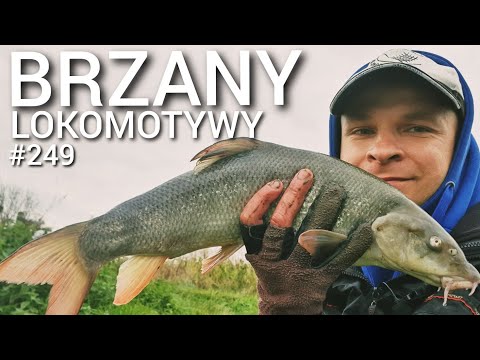 249 BRZANY LOKOMOTYWY! KRUSZYN ROZBIJA BANK 😀