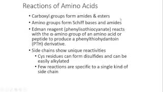 Amino Acids 2