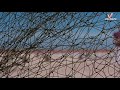 Para Para Paravai Ondru Love Tunes Neer Paravai Whatsapp Status