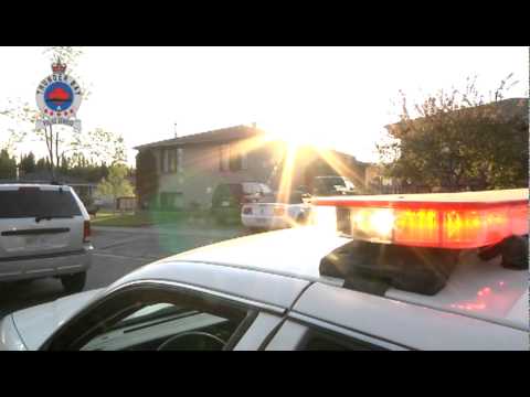 Thunder Bay Police Service - Dolphin takedown