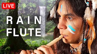 Rain and Native American Flute Music 24/7 for Sleep and Relaxation