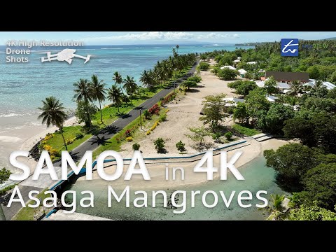 Asaga Mangroves, Samoa - 4k Aerial Views
