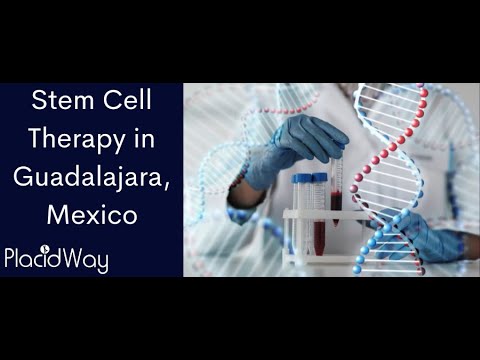 Stem Cell Therapy in Guadalajara, Mexico