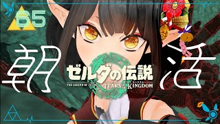 #65《朝活ハイラル》ゼルダの伝説TotK《#9onLIVE》