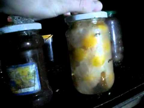 download lagu mp3 mp4 Can You Freeze Compote, download lagu Can You Freeze Compote gratis, unduh video klip Can You Freeze Compote