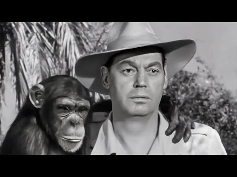 Voodoo Tiger (1952) 4K