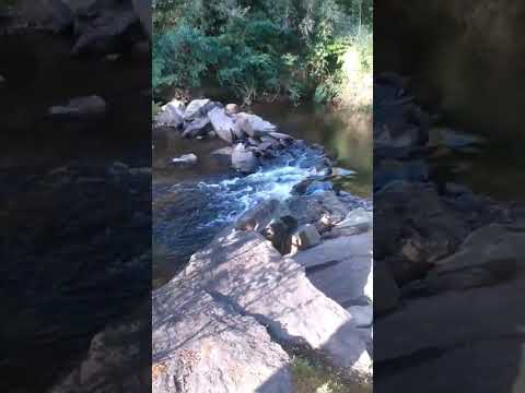 Los Ríos de Valdivia son mágicos🏞️ #travel #culturachile #valdivia #chile #turismo #amor #vacation