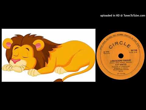 Fay Hintso - Lion Sleeps Tonight