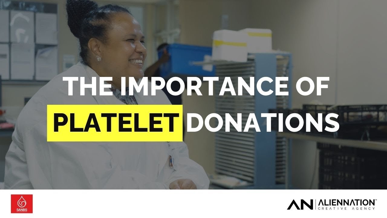 AlienNation Creative Agency: Pre and Post Interview Video Production.