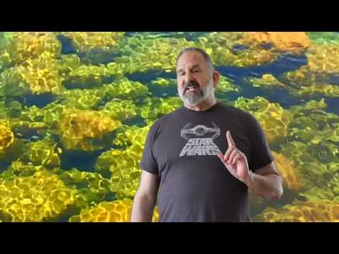 Le Morte d'Arthur Guided Reading 5: Book 1, Chapters 3 & 4