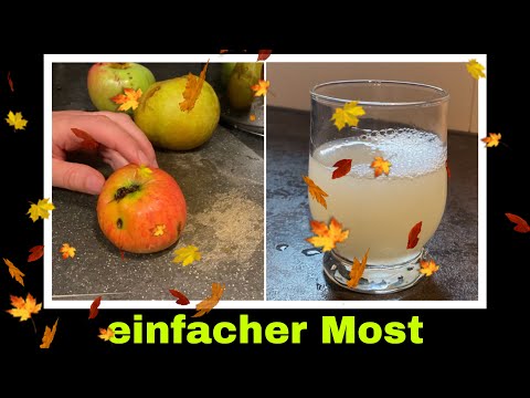 Apfelmost selber machen | Most herstellen | Selbstversorgung: Äpfel Rezept
