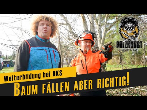 Waldarbeit bei HKS / Baum fällen, aber richtig / gute Besserung Carsten