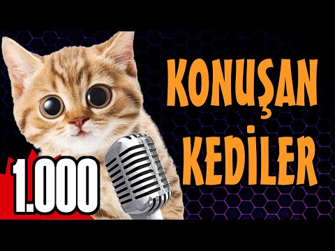 Konuşan Kediler 1000 - En Komik Kedi Videoları