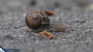 This was going to be a short