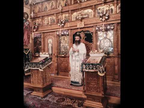 20210627 NICOLAE BALASOIU - DUMINICA INTAI DUPA RUSALII – A TUTUROR SFINTILOR