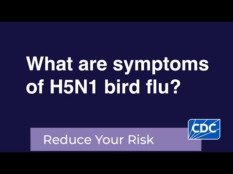 What are symptoms of H5N1 bird flu?