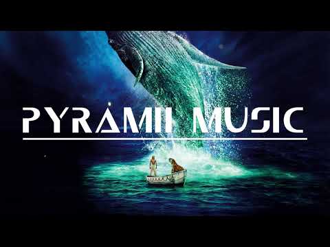 Somewhere New  - Sebastian Forslund