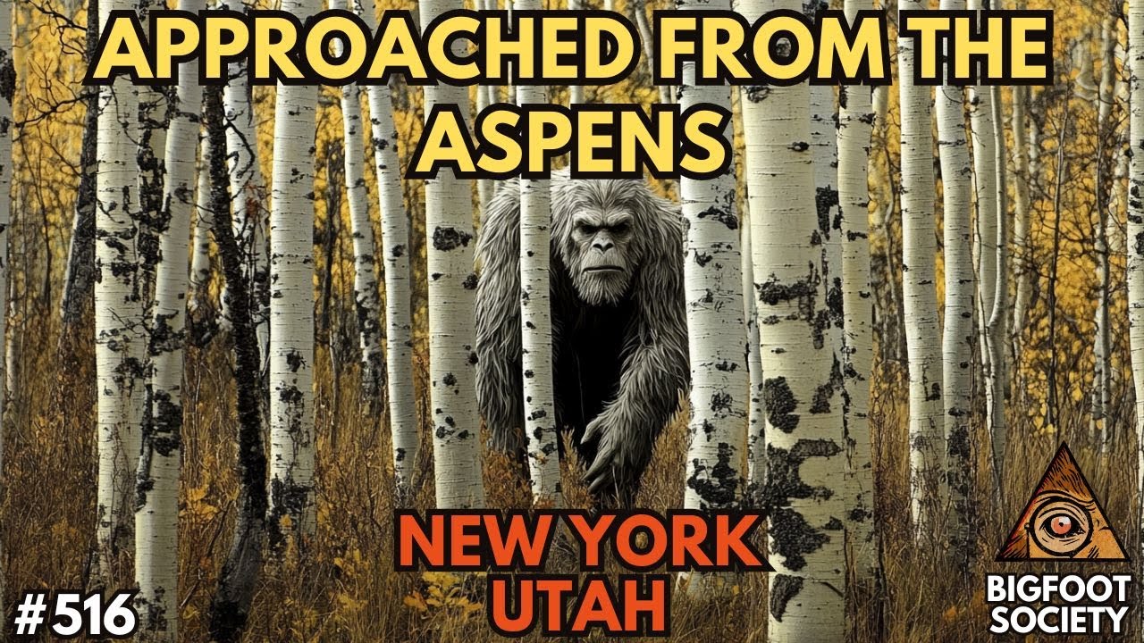A Scientist Comes to Grip with the Paranormal Side of Bigfoot