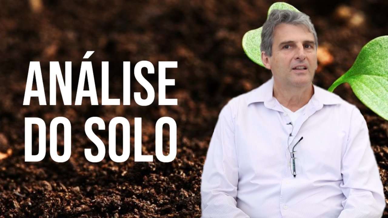 Análise do solo: características físicas e químicas