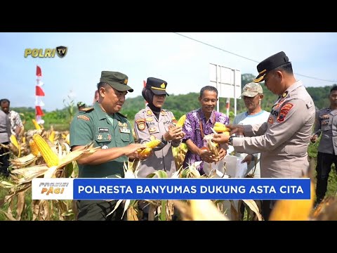 POLRESTA BANYUMAS PANEN JAGUNG, DUKUNG KETAHANAN PANGAN