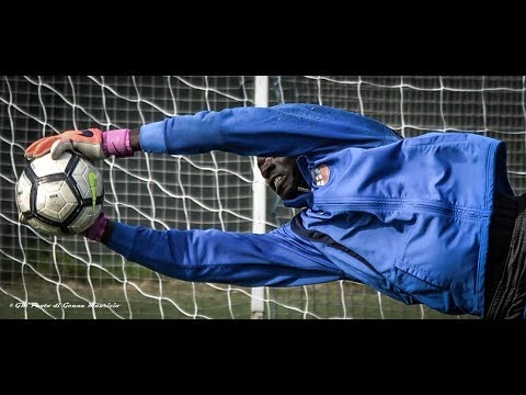 Asd Alcione   Busto 81  0   0 Eccellenza