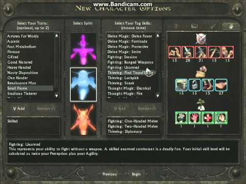 Lionheart Legacy of the Crusader: Intro & Character Creation