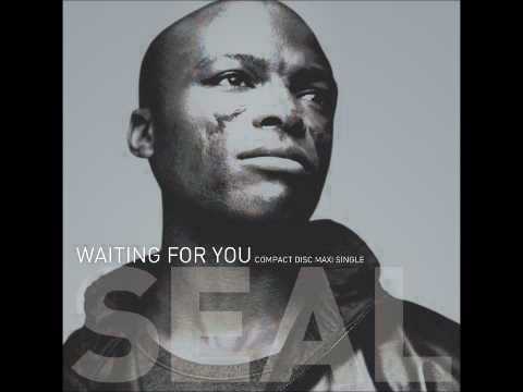 Seal - Waiting For You (The Passengerz Club Remix)