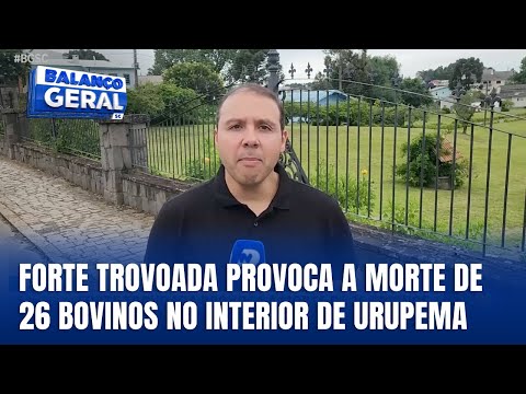 Forte trovoada mata 26 bovinos no interior de Urupema, na Serra Catarinense
