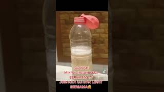 Download lagu Sains Tahun 6 Mikroorganisma Adakah Mikroorganisma Bernafas? mp3