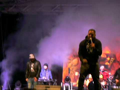 Curtis-Újpest a negyedem