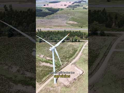 Campo de 4.6 hectareas sobre Ruta 8 Migues - Canelones