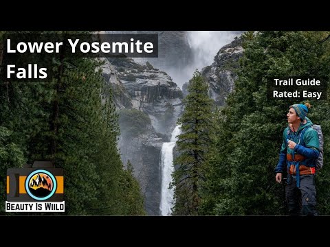 Lower Yosemite Falls Trail Guide: Iconic Waterfall Hike in Yosemite Valley