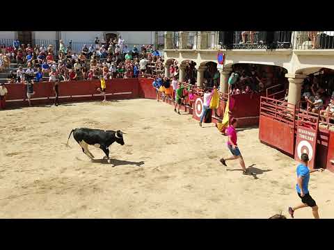 Emoción en la procesión de la Virgen de Caballeros y en el primer encierro tradicional de Villavieja 