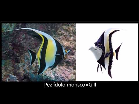 Personajes de buscando a Nemo