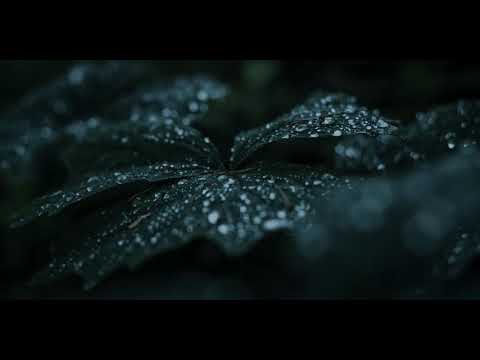 Solo (T.R.A Feat High King Rsv) Remix 2018❌Musique complète dans le lien de la description❌