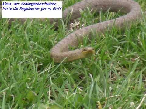 1. FC Euerfeld Trainingslager 2008