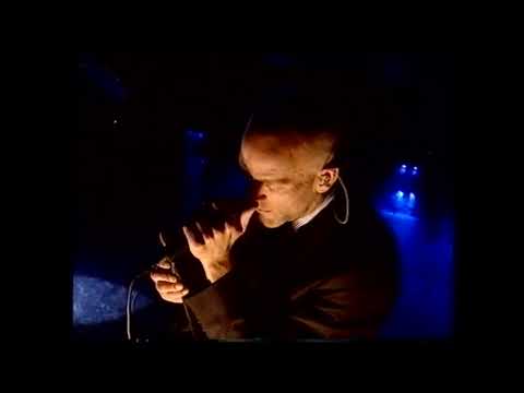 R.E.M. - I've Been High (Top Of The Pops 2001)