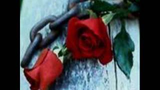 lucero i&#39;ll Just fall.wmv