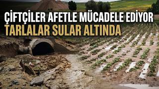 Yozgat'ta şiddetli yağış tarım arazilerini vurdu