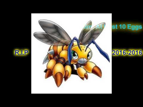 KUDAMON?,Killing Mysterious Cards 1-40 - Digimon Masters Online