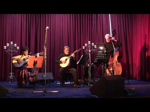 Gala de Fado 2018 - Guitarrada 2