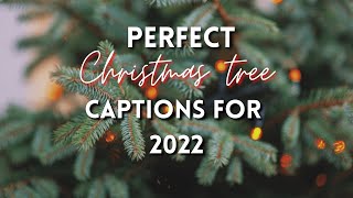 Perfect Christmas tree Captions | Christmas 2022🎄
