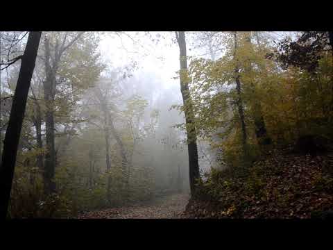 Dunja Knebl & Roko Margeta - Dremle mi se, dremle